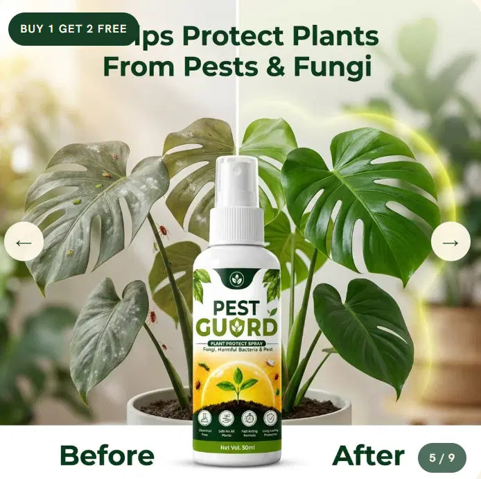 Pest Guard – Plant Protection Spray 💧🌿(Buy 1 Get 2 Free)